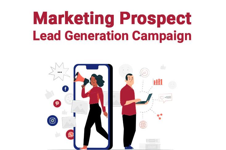 1 successful Lead Generation campaign