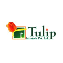 tulip